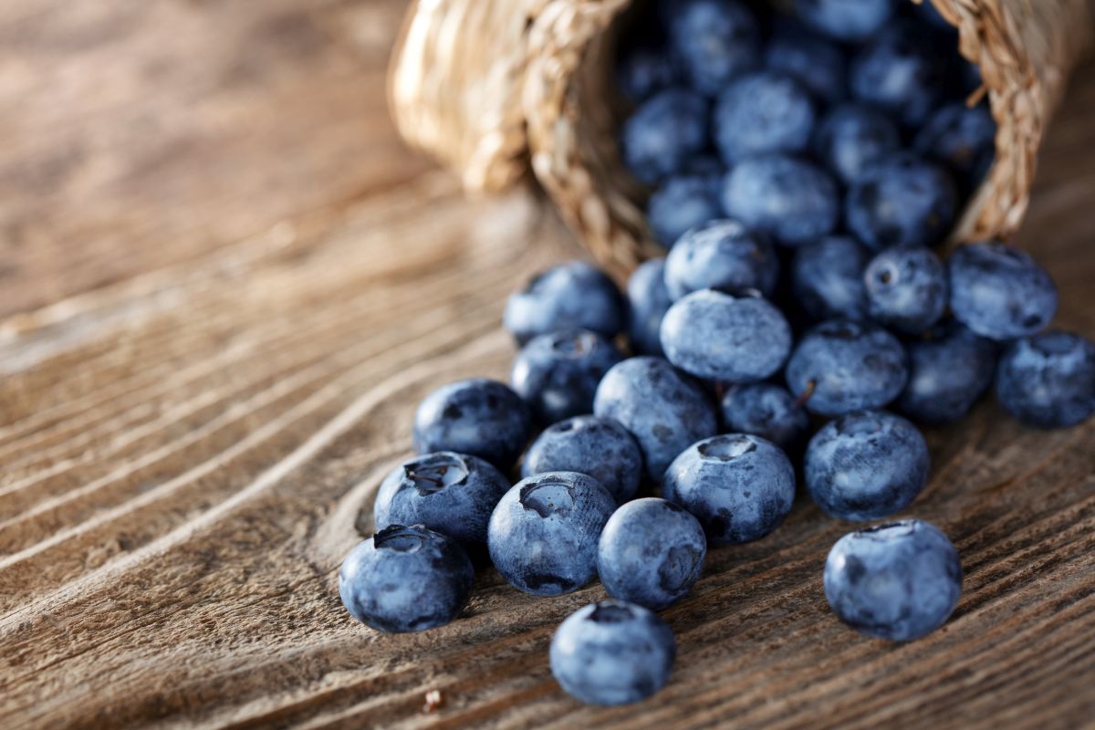 Heidelbeeren als Vitaminbombe