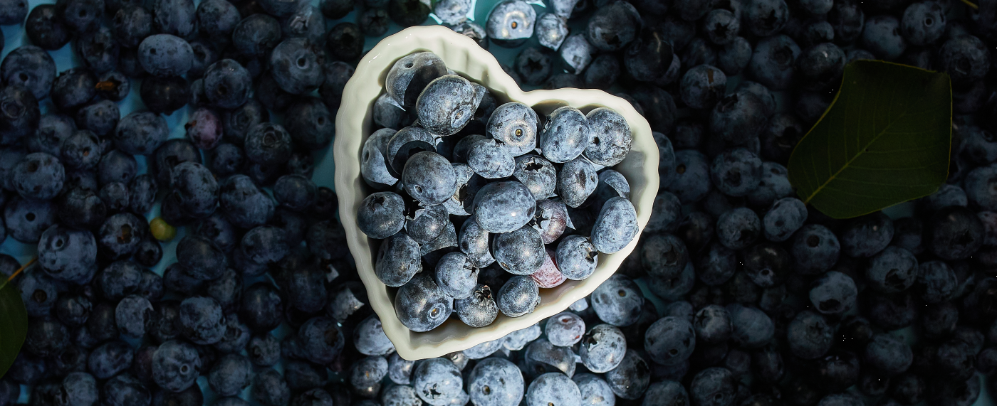 Heidelbeeren und Vitamine